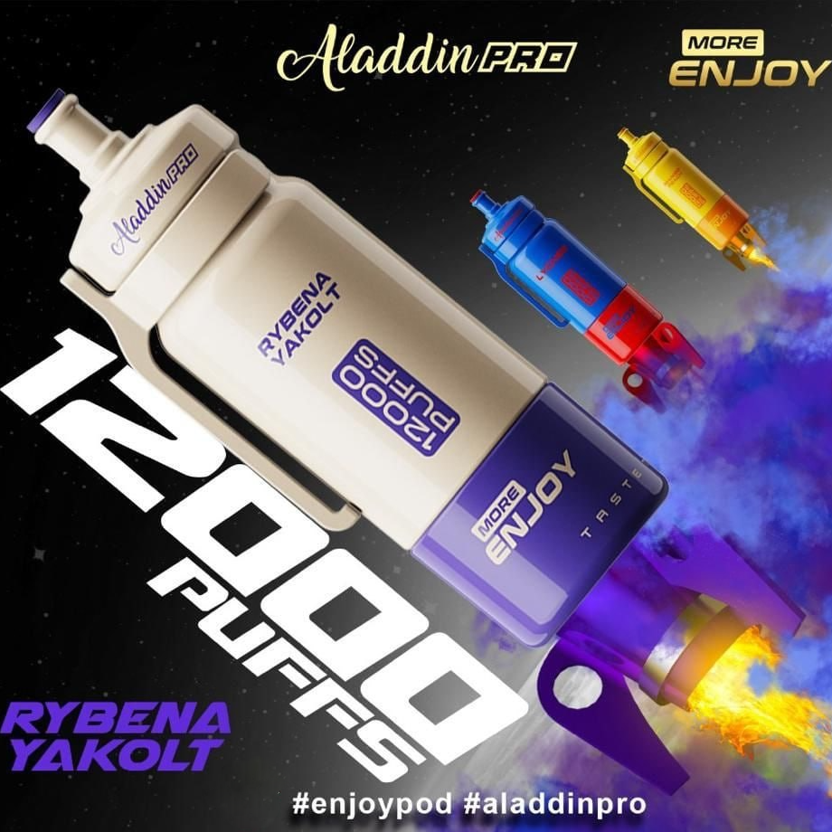 ALADDIN PRO MORE ENJOY 12000 PUFF DISPOSABLE
